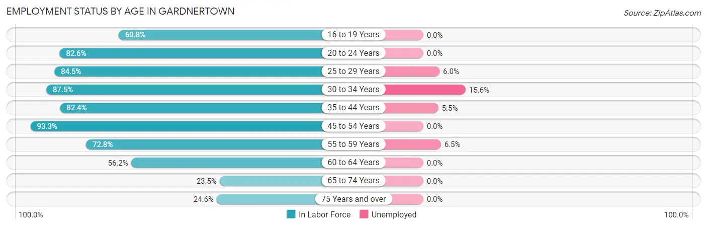 Employment Status by Age in Gardnertown