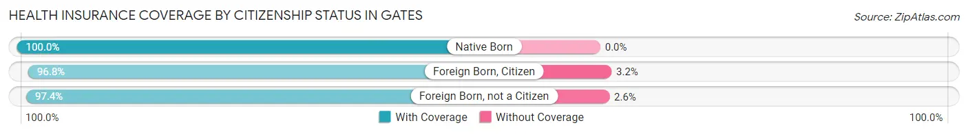 Health Insurance Coverage by Citizenship Status in Gates