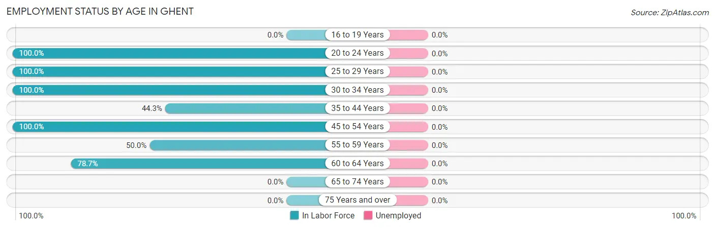 Employment Status by Age in Ghent