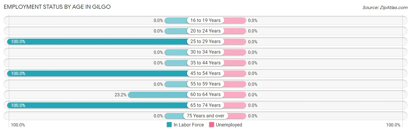 Employment Status by Age in Gilgo