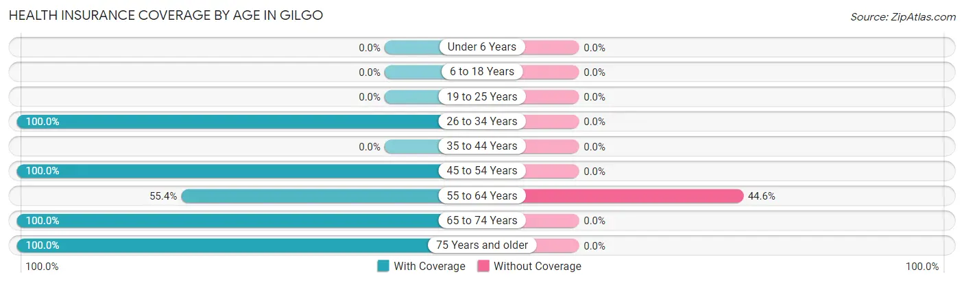 Health Insurance Coverage by Age in Gilgo
