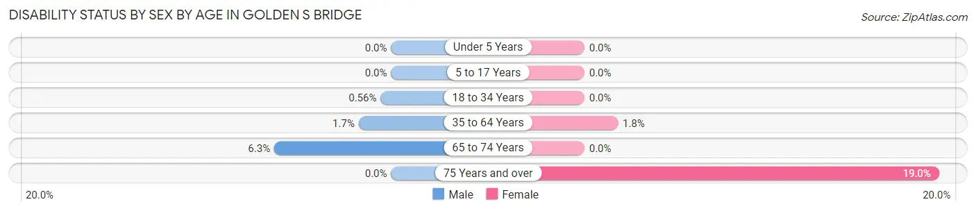 Disability Status by Sex by Age in Golden s Bridge