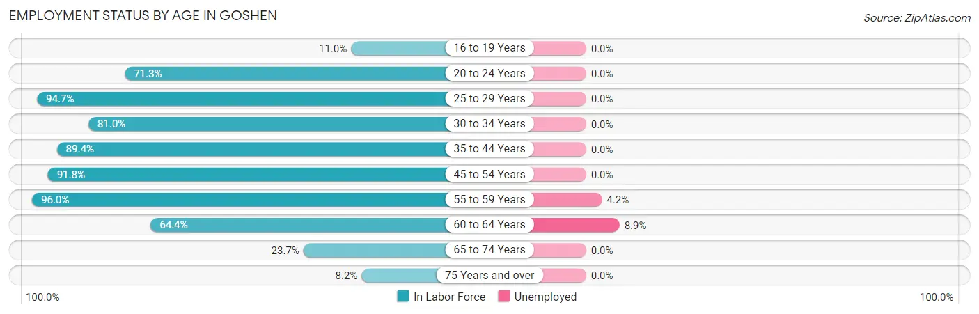 Employment Status by Age in Goshen