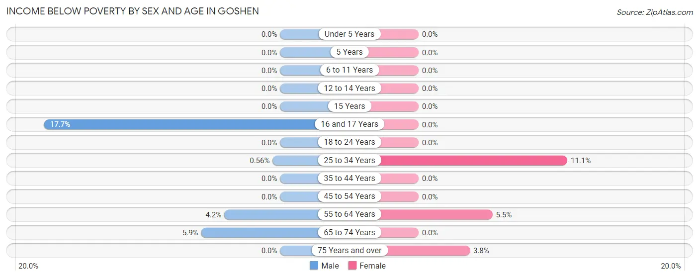 Income Below Poverty by Sex and Age in Goshen