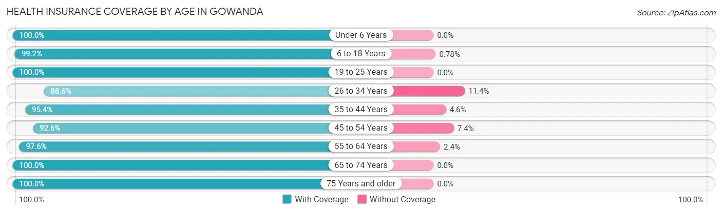 Health Insurance Coverage by Age in Gowanda