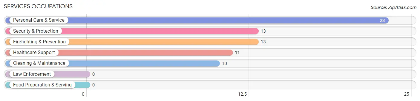 Services Occupations in Grahamsville