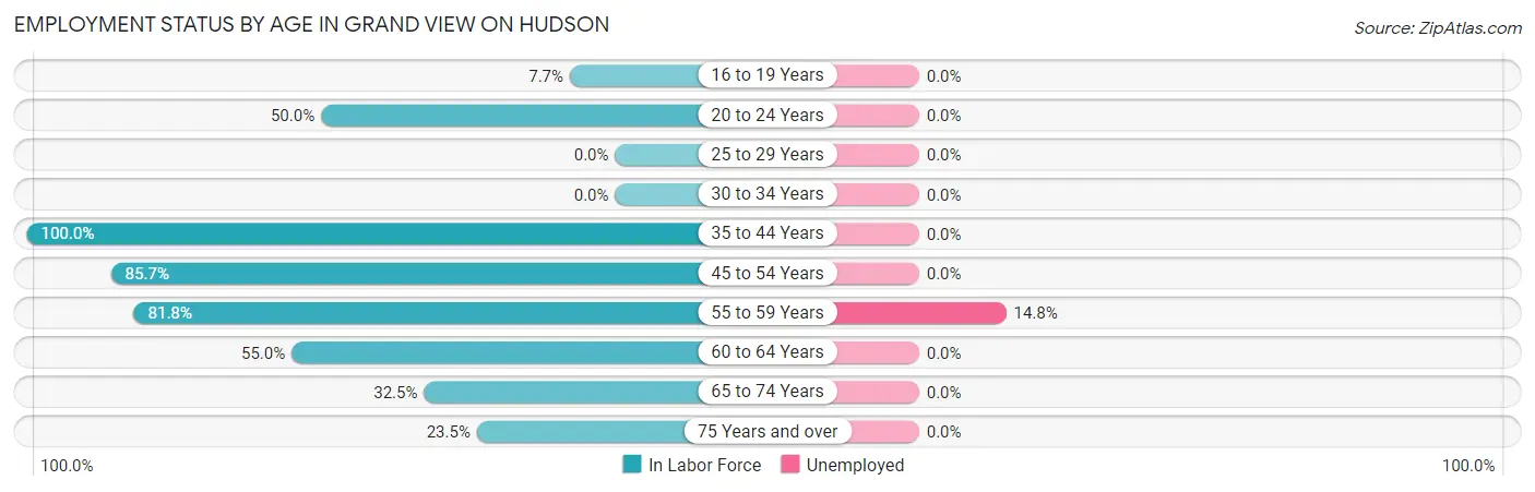 Employment Status by Age in Grand View on Hudson