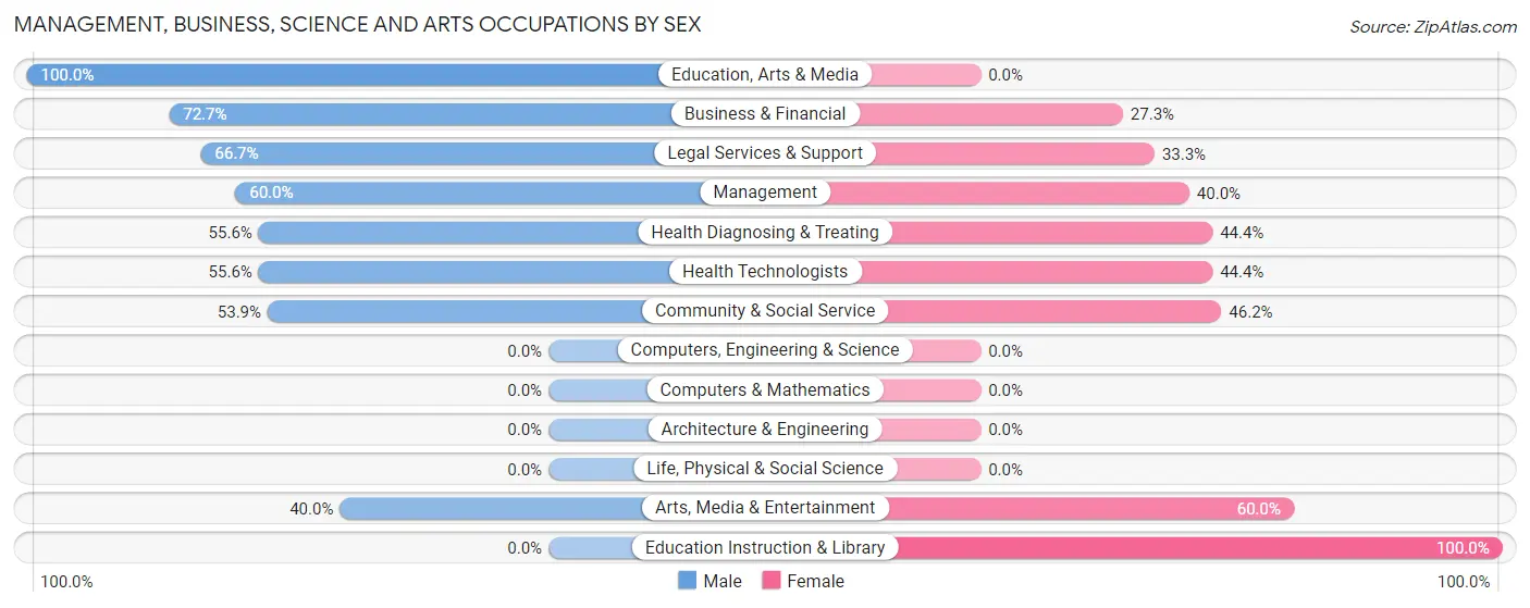 Management, Business, Science and Arts Occupations by Sex in Grand View on Hudson