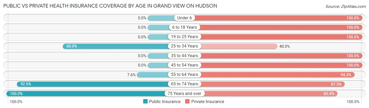 Public vs Private Health Insurance Coverage by Age in Grand View on Hudson