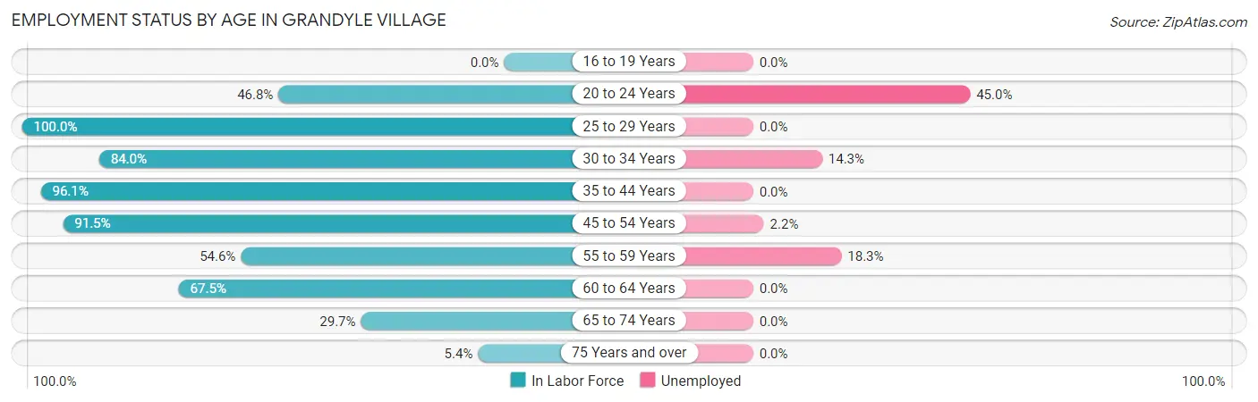 Employment Status by Age in Grandyle Village