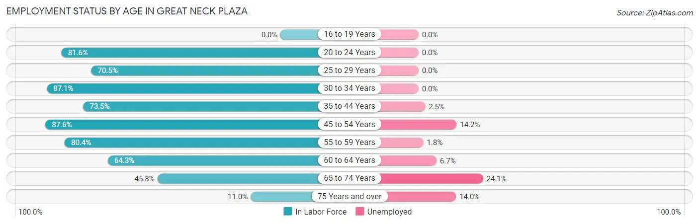 Employment Status by Age in Great Neck Plaza