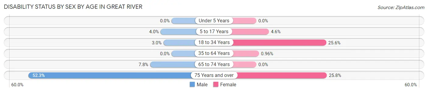 Disability Status by Sex by Age in Great River