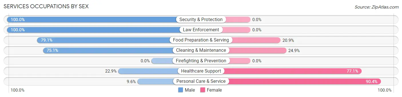 Services Occupations by Sex in Greenport