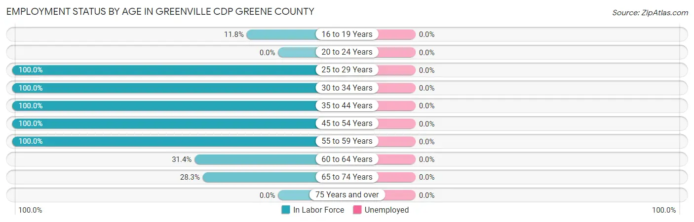 Employment Status by Age in Greenville CDP Greene County