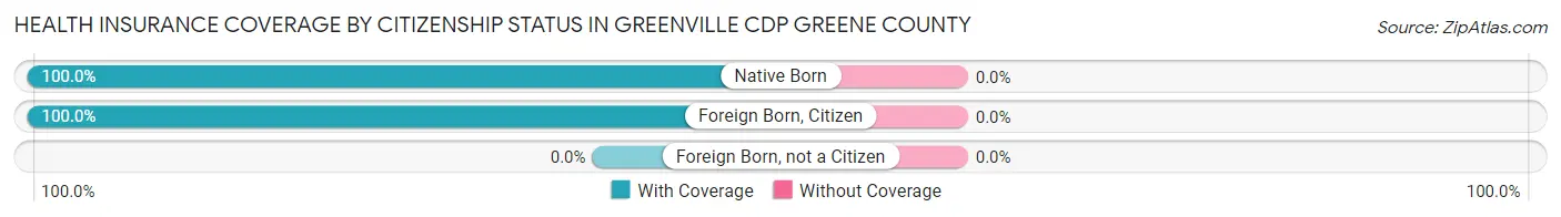 Health Insurance Coverage by Citizenship Status in Greenville CDP Greene County