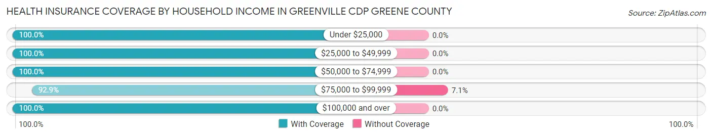 Health Insurance Coverage by Household Income in Greenville CDP Greene County
