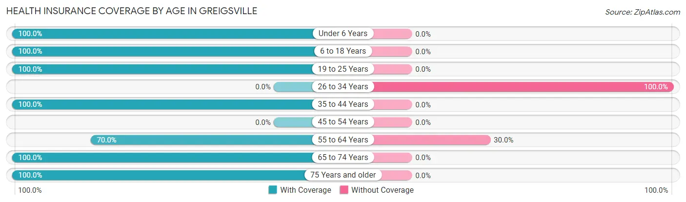 Health Insurance Coverage by Age in Greigsville