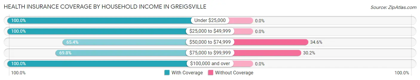 Health Insurance Coverage by Household Income in Greigsville