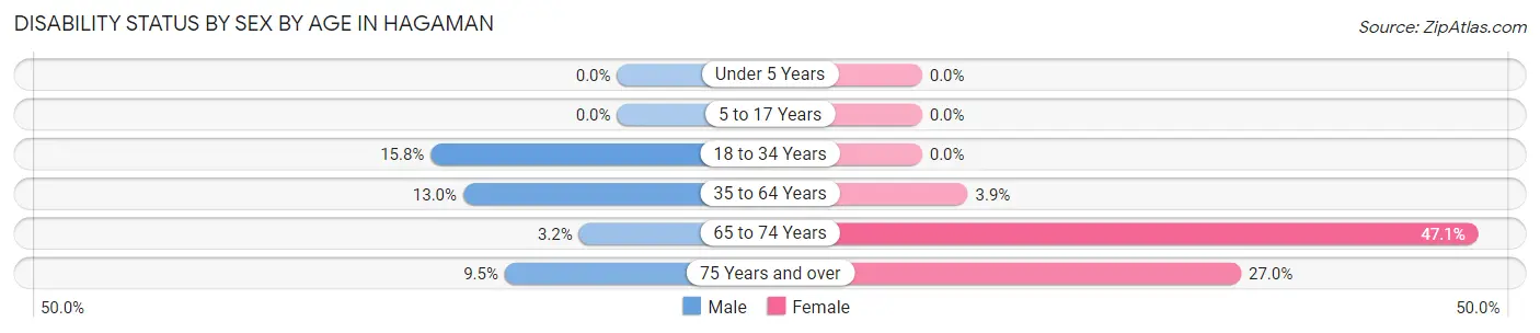 Disability Status by Sex by Age in Hagaman