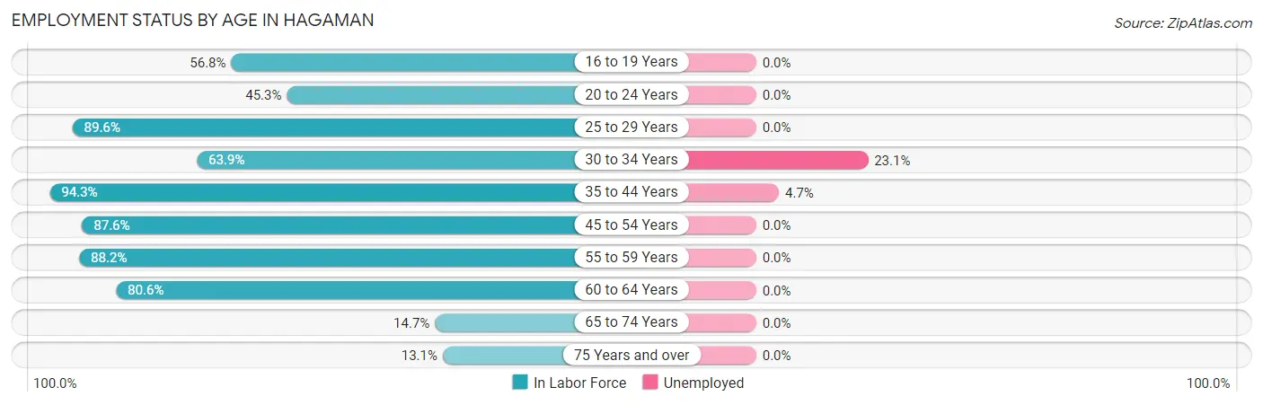 Employment Status by Age in Hagaman