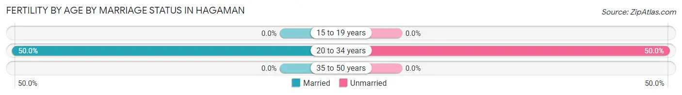 Female Fertility by Age by Marriage Status in Hagaman
