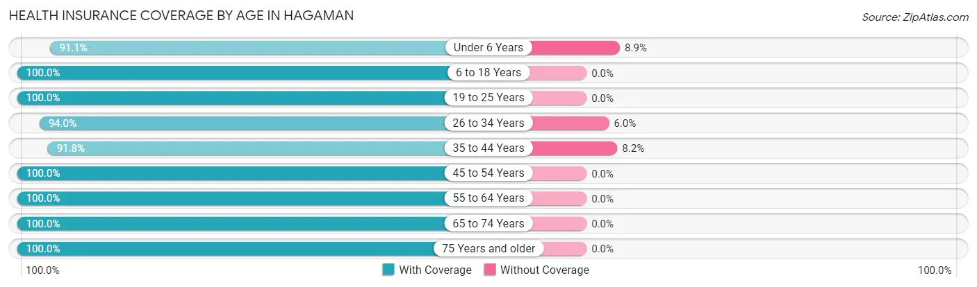 Health Insurance Coverage by Age in Hagaman