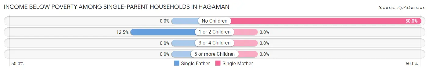 Income Below Poverty Among Single-Parent Households in Hagaman