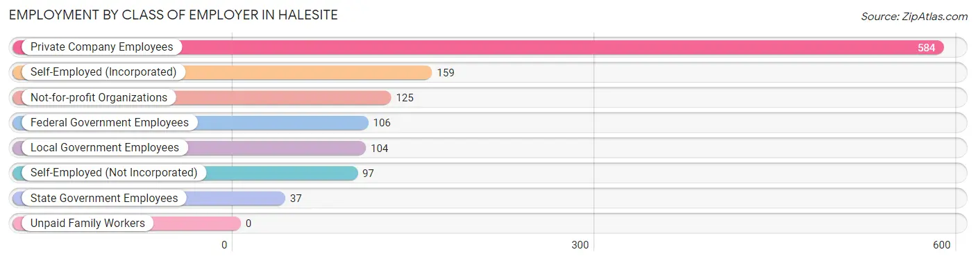 Employment by Class of Employer in Halesite