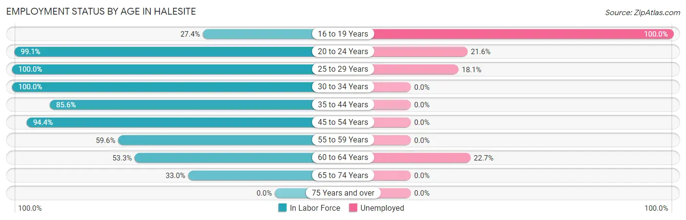 Employment Status by Age in Halesite