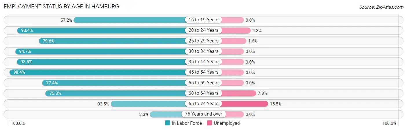 Employment Status by Age in Hamburg