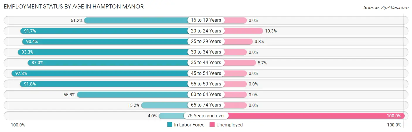 Employment Status by Age in Hampton Manor