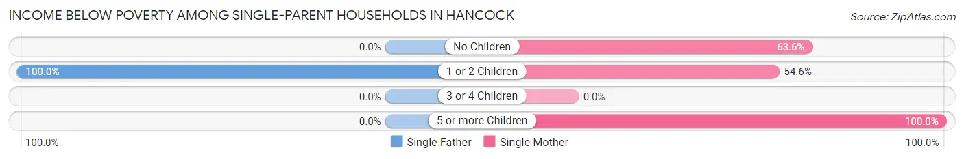 Income Below Poverty Among Single-Parent Households in Hancock