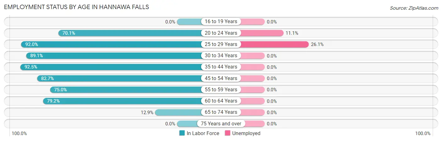 Employment Status by Age in Hannawa Falls