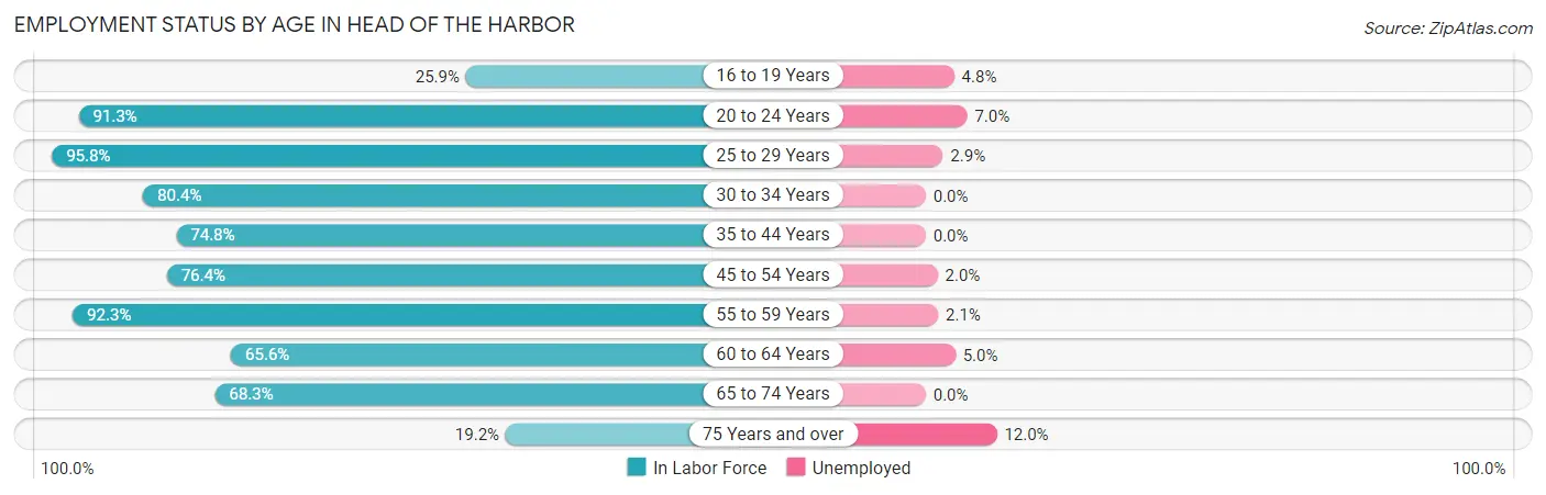 Employment Status by Age in Head of the Harbor