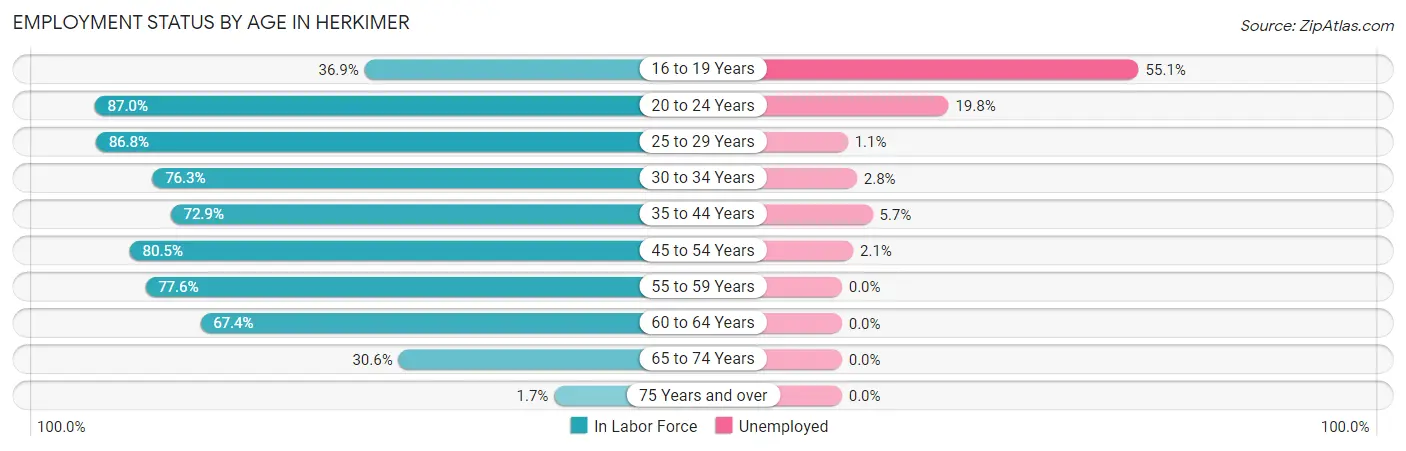 Employment Status by Age in Herkimer