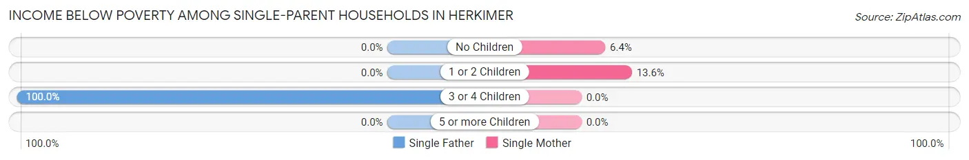 Income Below Poverty Among Single-Parent Households in Herkimer
