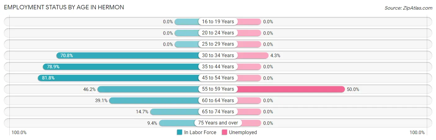 Employment Status by Age in Hermon