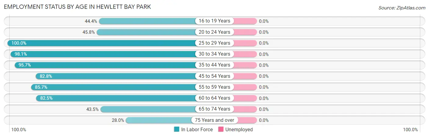 Employment Status by Age in Hewlett Bay Park