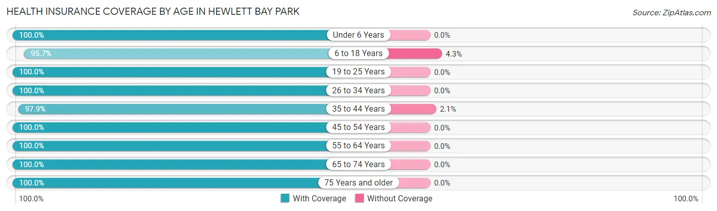 Health Insurance Coverage by Age in Hewlett Bay Park