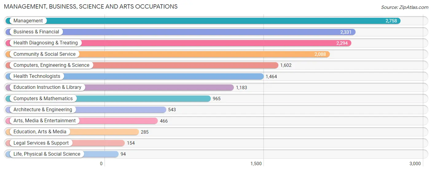 Management, Business, Science and Arts Occupations in Hicksville