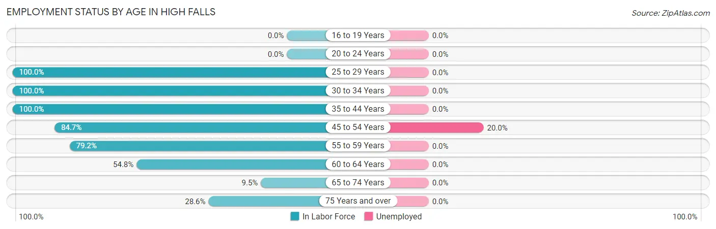 Employment Status by Age in High Falls
