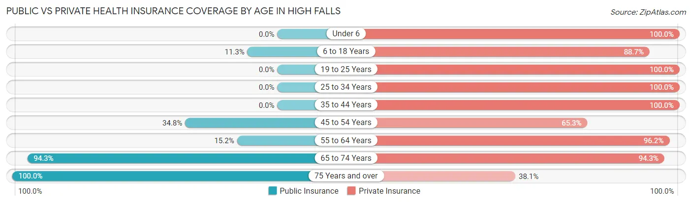 Public vs Private Health Insurance Coverage by Age in High Falls