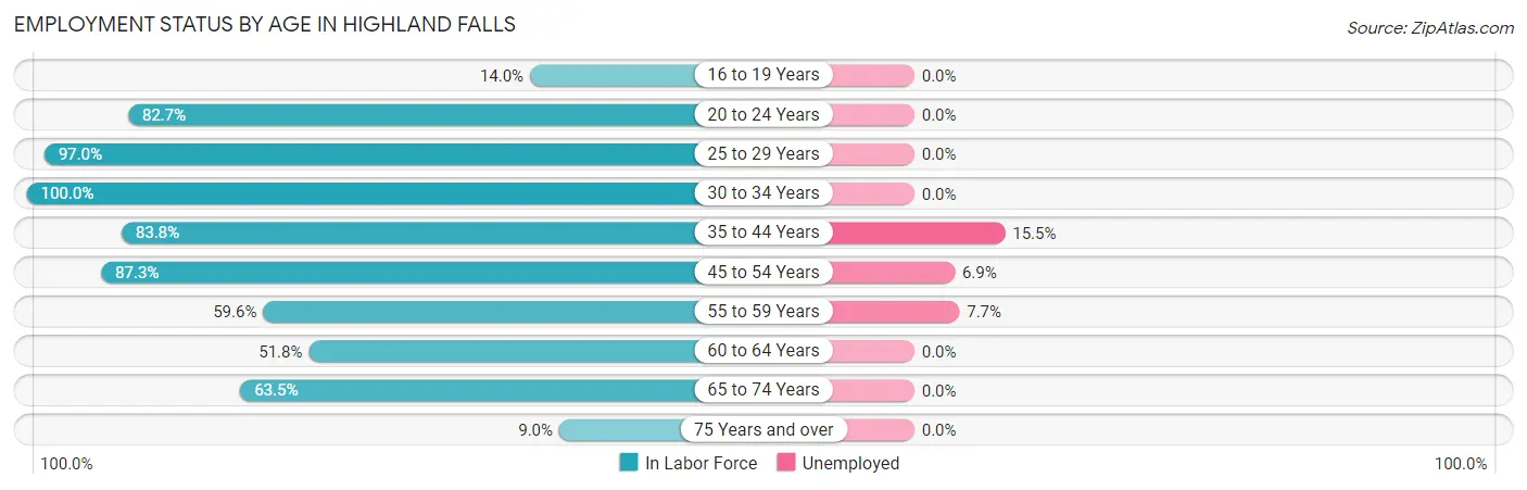Employment Status by Age in Highland Falls