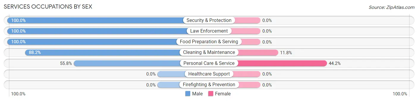 Services Occupations by Sex in Hillside Lake