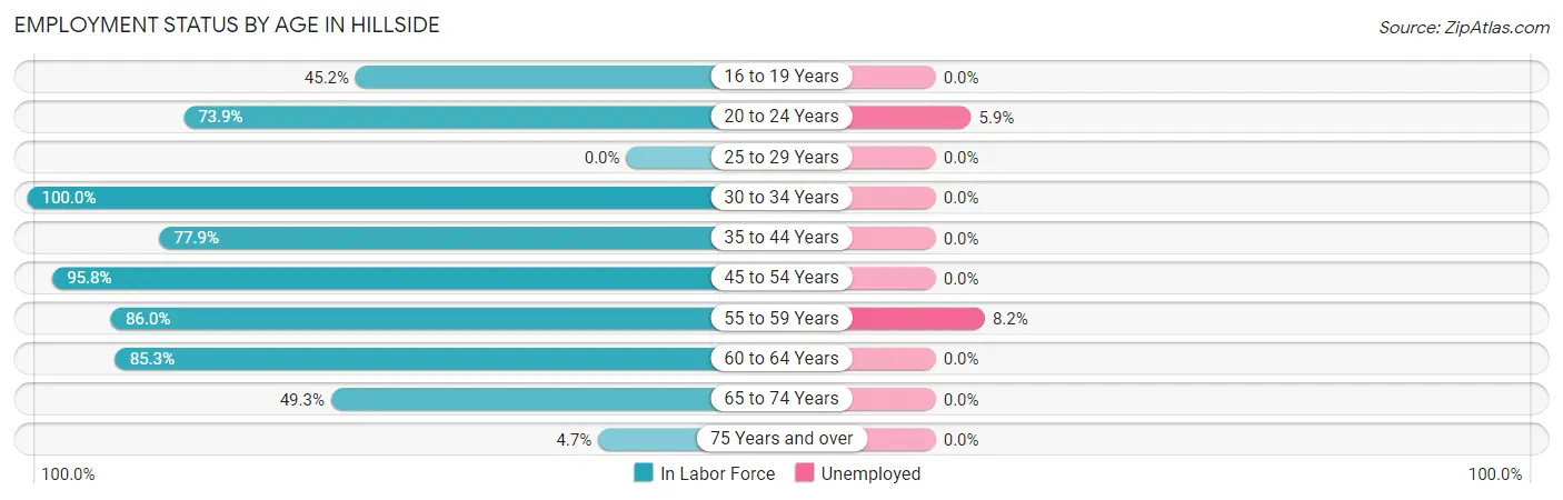 Employment Status by Age in Hillside