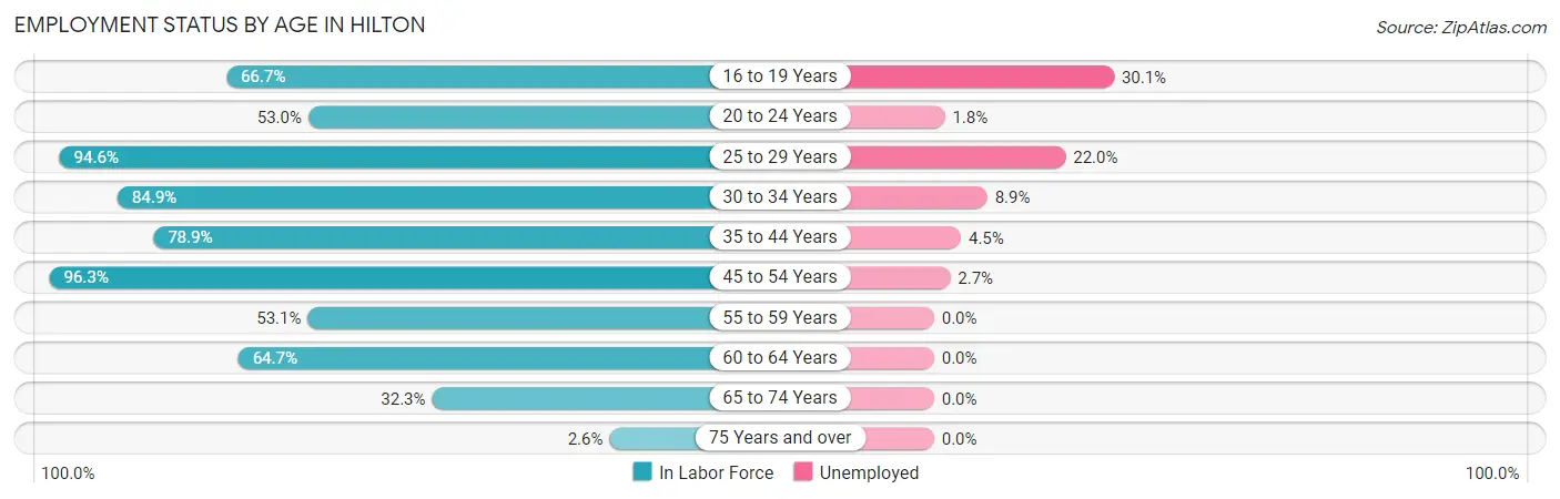 Employment Status by Age in Hilton