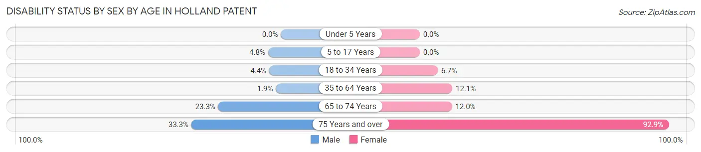 Disability Status by Sex by Age in Holland Patent