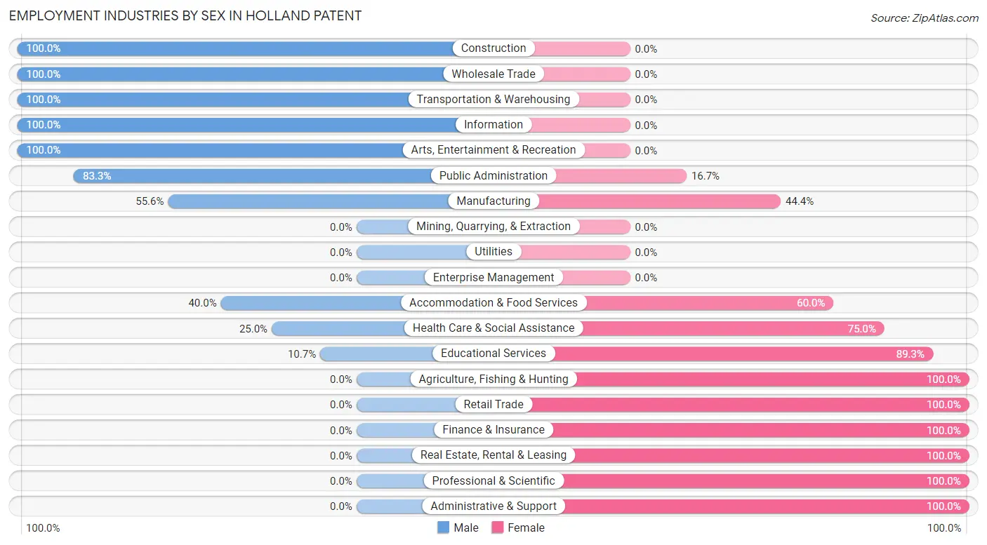 Employment Industries by Sex in Holland Patent