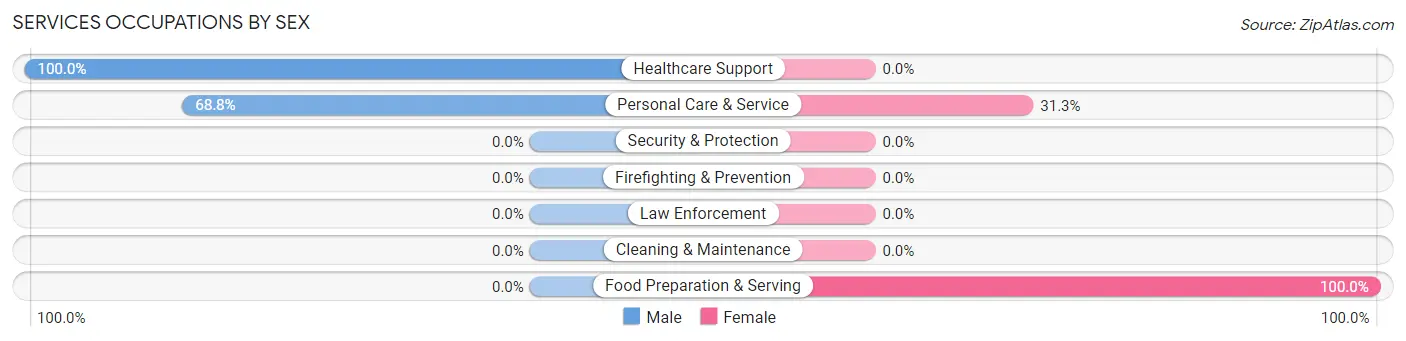 Services Occupations by Sex in Holland Patent
