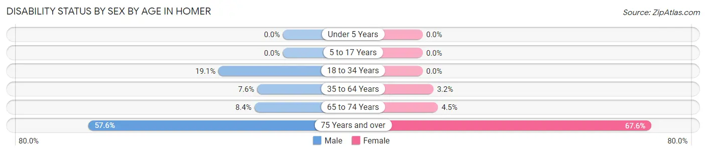 Disability Status by Sex by Age in Homer